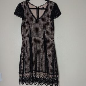 Oasis Black and Cream Lace Mesh Mini Dress size 12/38
